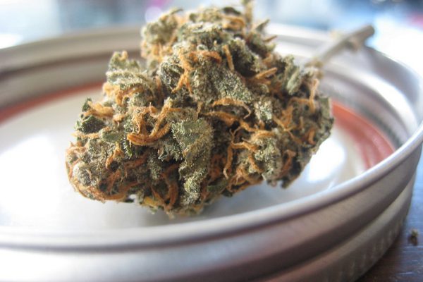 Marijuana legale, quali sono gli effetti della canapa