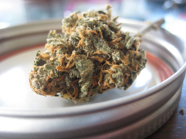 Marijuana legale, quali sono gli effetti della canapa